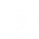 Ícono